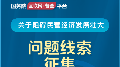 www操插国务院“互联网+督查”平台公开征集阻碍民营经济发展壮大问题线索